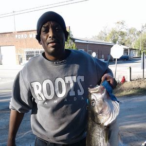 Meet your Posher, Lester